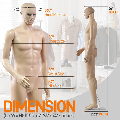 73 Male Mannequin Torso Dress Form - Detachable Mannequin Full Body Stand