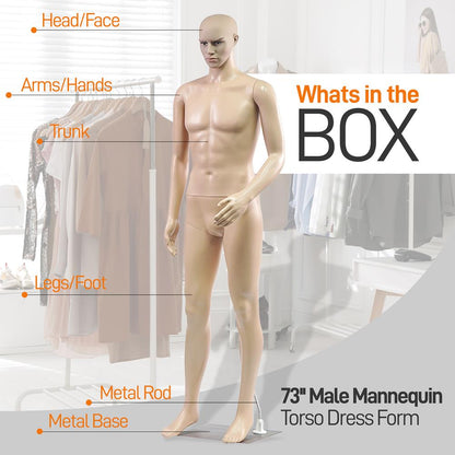 73 Male Mannequin Torso Dress Form - Detachable Mannequin Full Body Stand